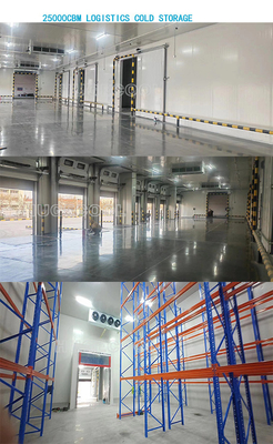 Aluminum Frame Cold Room Hinged Door For Cold Storage And Warehouse