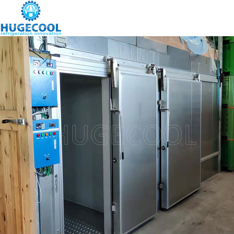 cold room /walk in freezer storage high efficiency cold storage for seafood