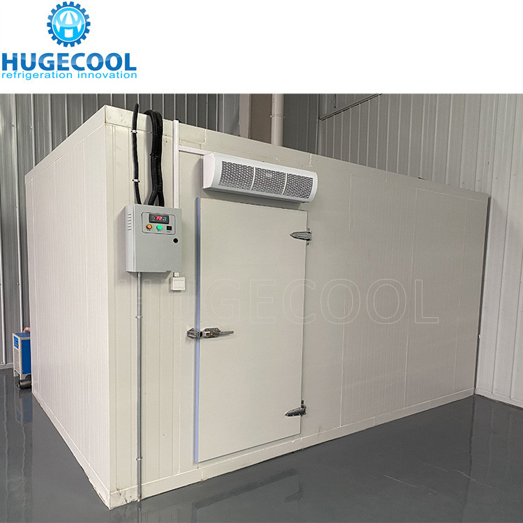 Freezer chiller cool storage room with refrigeration unit