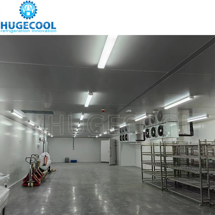 Freezer chiller cool storage room with refrigeration unit