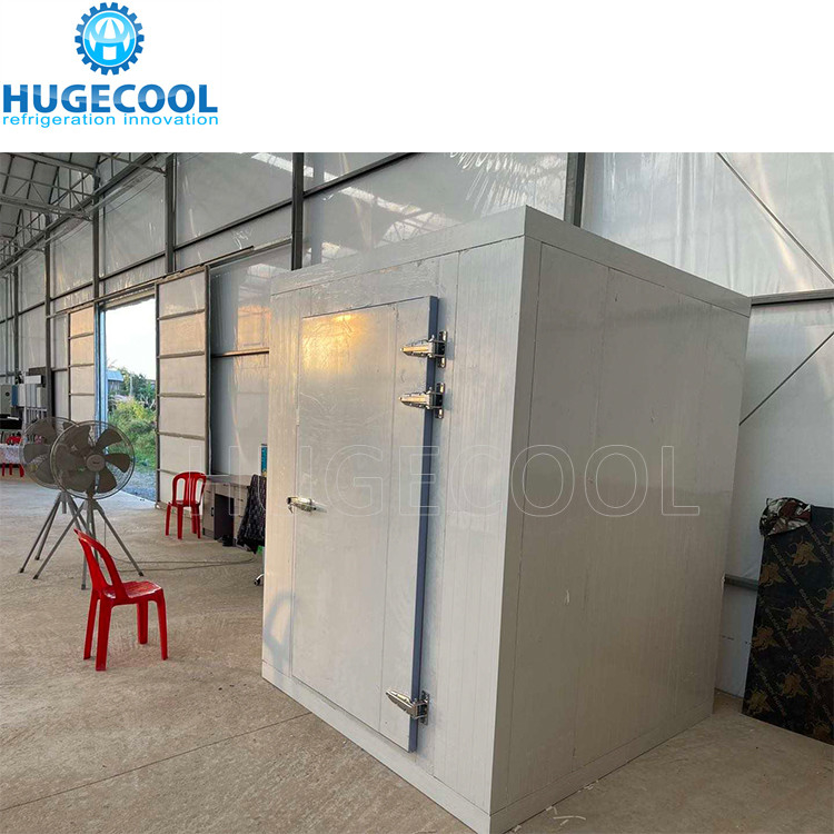 Double Open Cold Room Hinged Door For Frozen Food