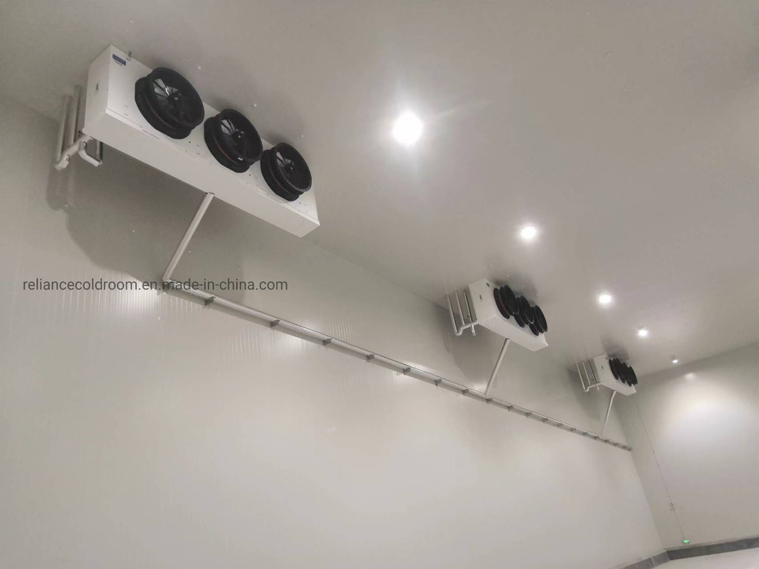 Medicine Storage Freezer Easy Assembling Cold Freezer Storages for Your Requirements